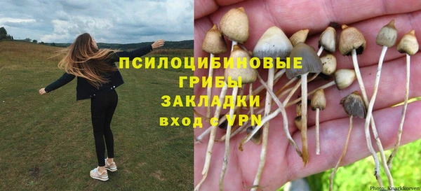 a pvp Балабаново